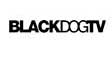 BlackDog TV 